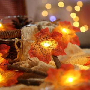Mystieke herfstavond 31/10 : Meditatie & creatie Intuitief een herfsttafelstuk maken en culinaire verwennerij)