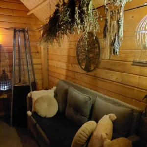 Zachte winterzondag: Een namiddag om te ontdekken wat er leeft in mijn praktijk