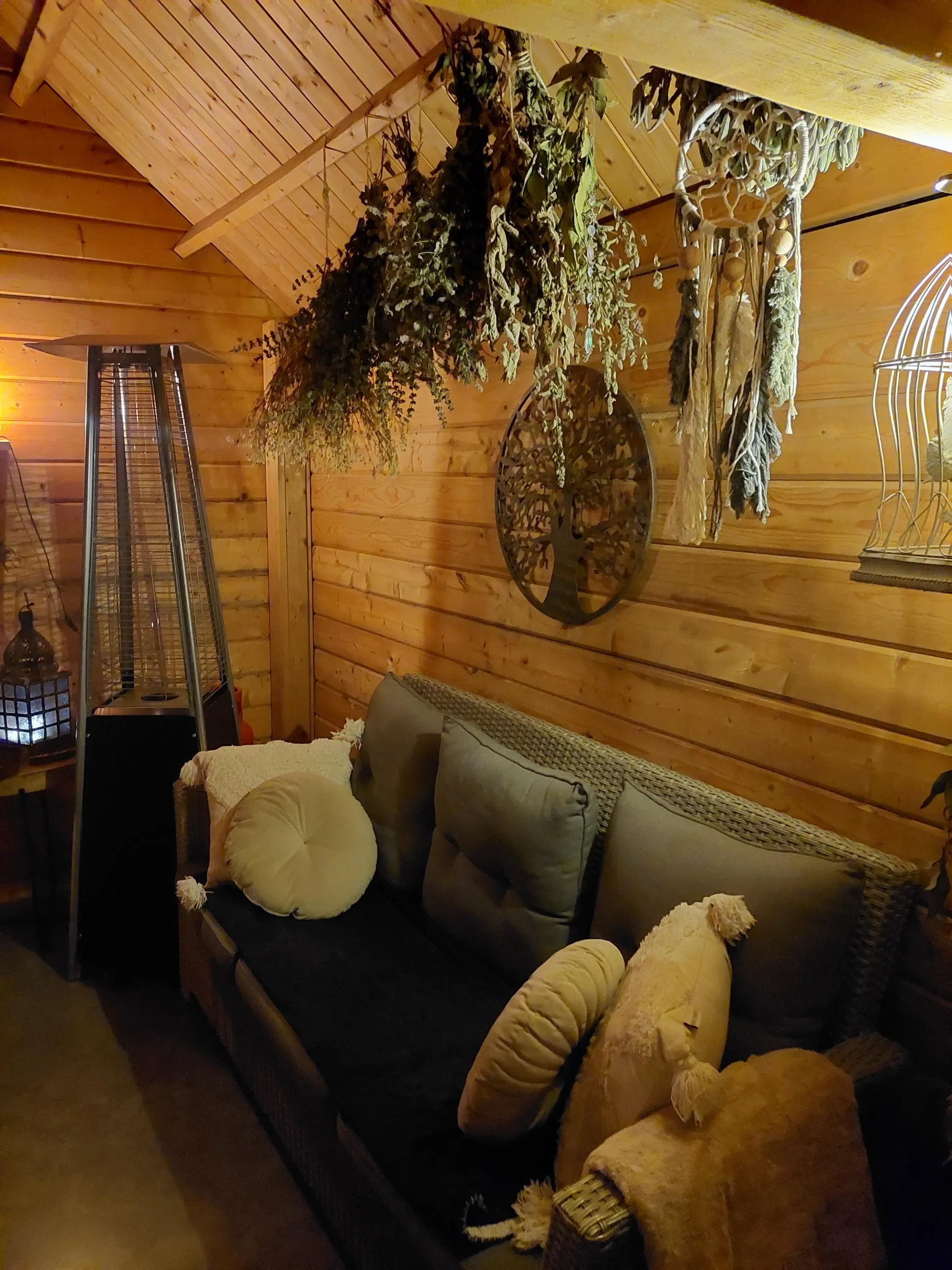 Zachte winterzondag: Een namiddag om te ontdekken wat er leeft in mijn praktijk